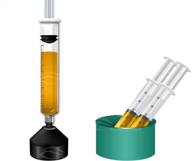 Graft prepared for injection